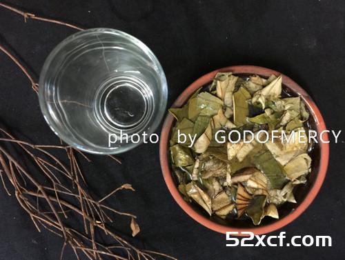 苦瓜荷叶茶的做法