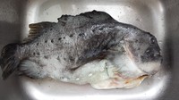 海参斑鱼的家常做法