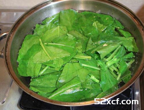 芥兰烩鲜菇的做法