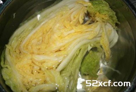 韩国辣白菜泡菜