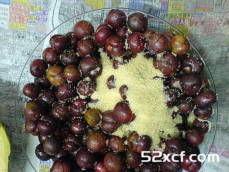 红肉李子酒的做法