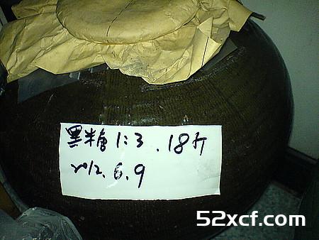 红肉李子酒的做法