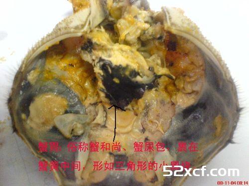 大闸蟹不能吃的部位图解