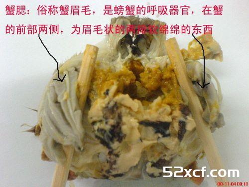 大闸蟹不能吃的部位图解