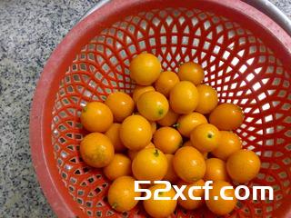 金桔酒的酿制方法