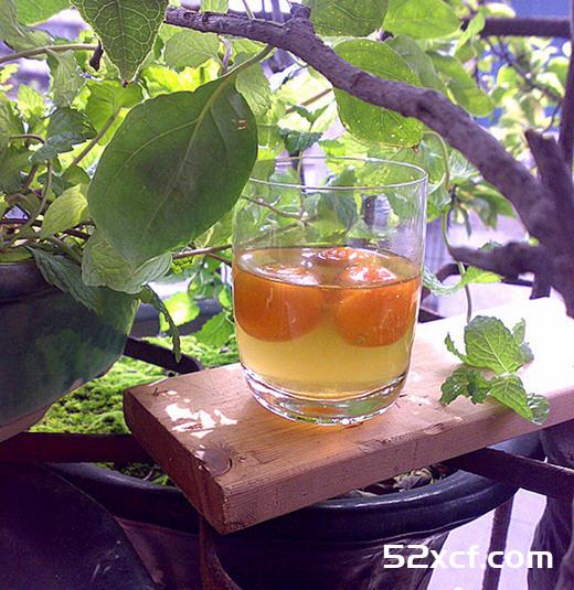 金桔酒的酿制方法