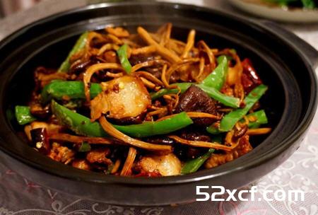 干锅茶树菇的正宗做法
