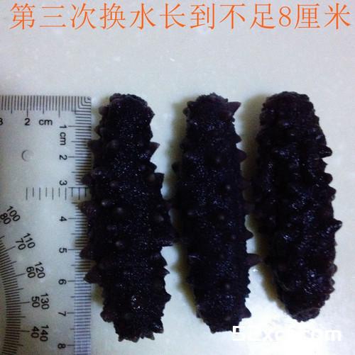 上汤海参娃娃菜的做法