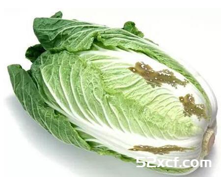 大白菜上有黑点能吃吗