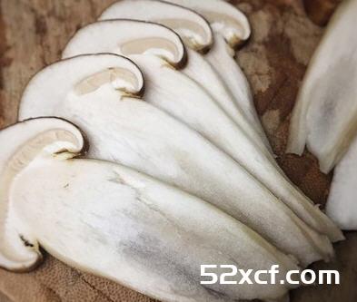 滋补菌菇汤做法