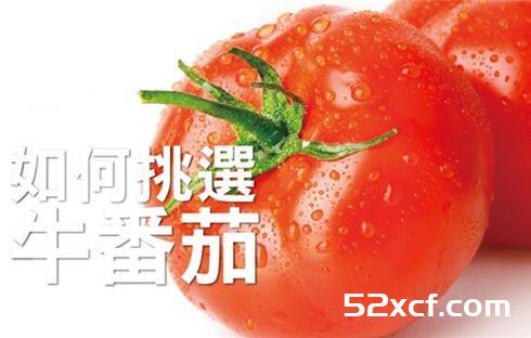 牛番茄的挑选方法图解