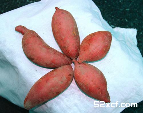 春季养生必吃的四大状元菜