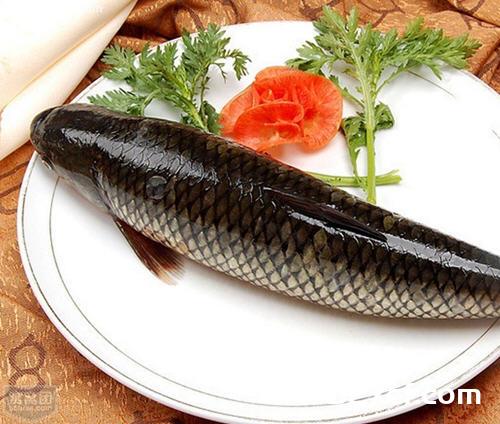 与草鱼相克的食物表