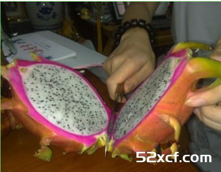 生吃火龙果五种简单漂亮的切法