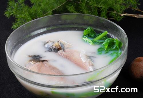 炖鱼汤时为什么非要一次加足水？