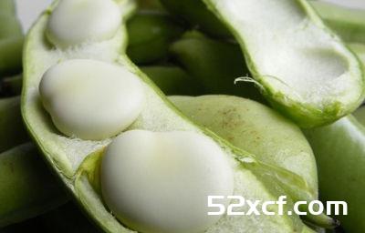 宝宝蚕豆病症状附食疗秘方