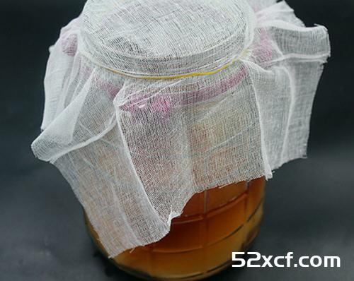 红茶菌的制作方法