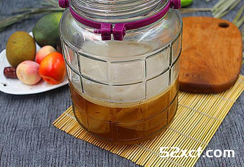 红茶菌的制作方法