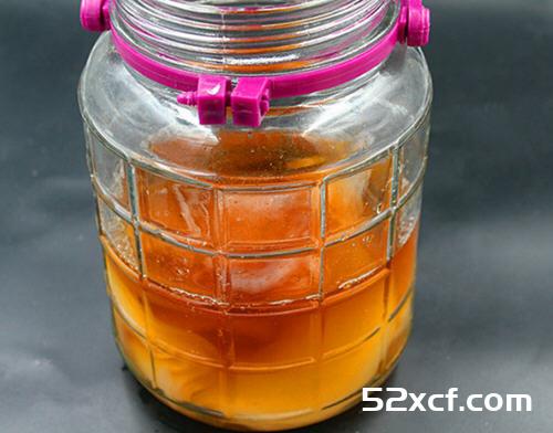 红茶菌的制作方法