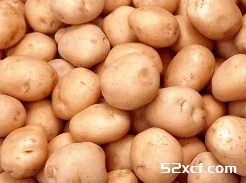 蔬菜=中药 一张极其珍贵的表