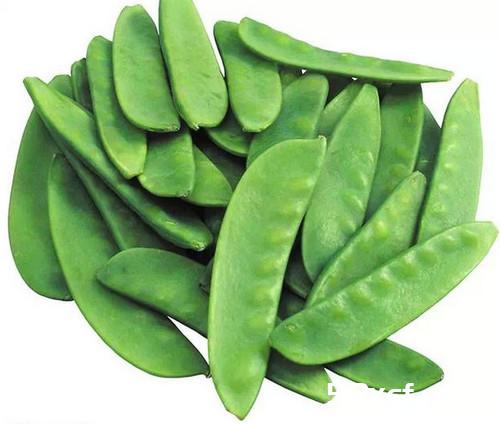 蔬菜=中药 一张极其珍贵的表