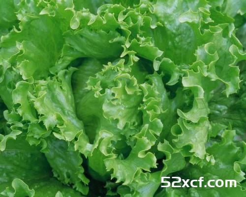 蔬菜=中药 一张极其珍贵的表