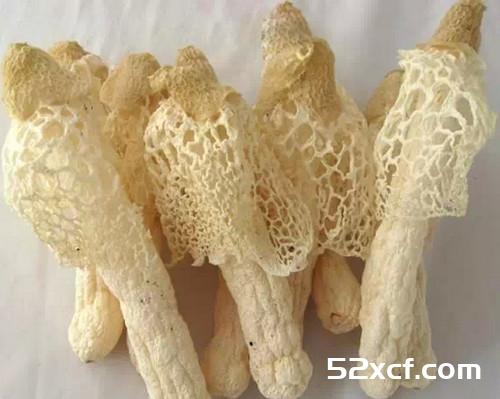 蔬菜=中药 一张极其珍贵的表