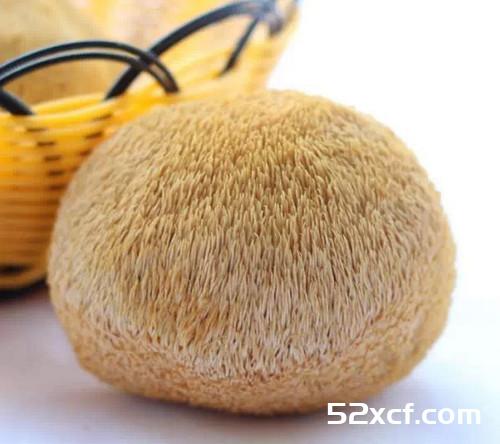 蔬菜=中药 一张极其珍贵的表
