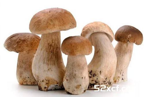 蔬菜=中药 一张极其珍贵的表