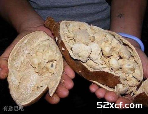 世界上最奇异的水果,悲崔的我一个都没吃过