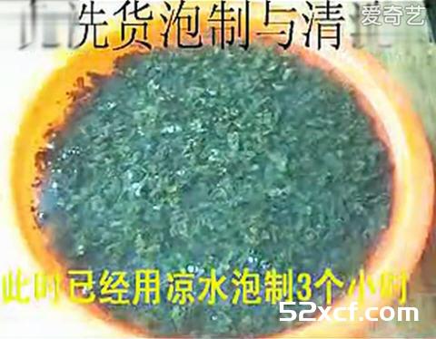 地皮菜怎么洗最干净？地皮菜的清洗方法图解