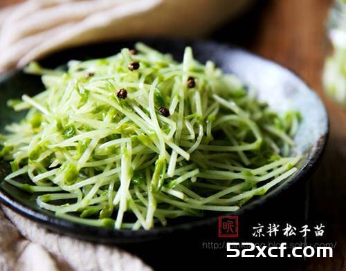 凉拌松子苗的做法