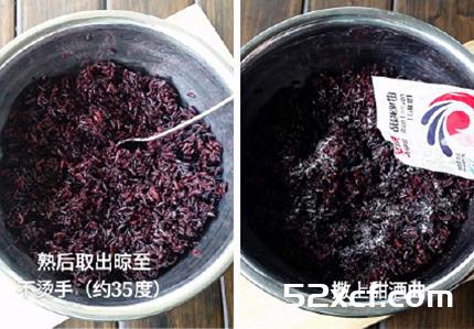 紫米做甜酒酿的做法