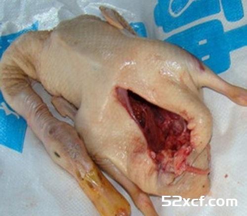 烹饪方式选购鸭肉的技巧