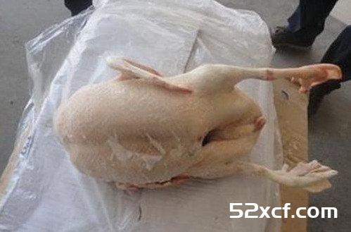 烹饪方式选购鸭肉的技巧