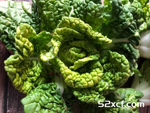 清炒黄心乌菜的做法