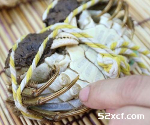 清蒸大闸蟹窍门(蒸多长时间，如何去寒，大闸蟹挑选技巧)