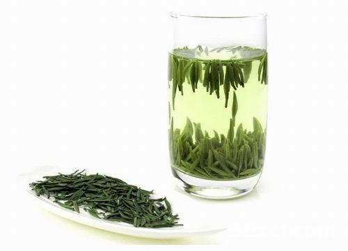 什么人不适合喝绿茶？