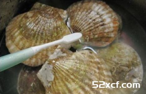 扇贝怎么洗最干净图文教程