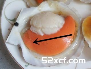 扇贝怎么洗最干净图文教程