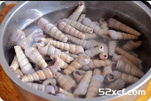酱香风味针螺的做法