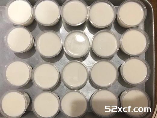 奶酪制作过程带图片