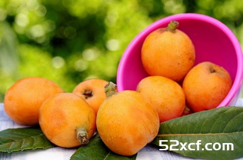 17种清肺热的食物效果好到爆
