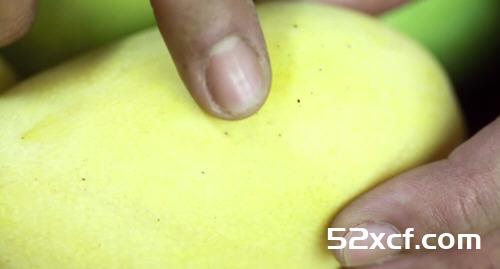 芒果怎么判断熟了没有？4种判断芒果是否熟了的方法整合