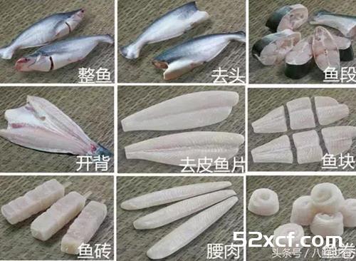 龙利鱼和巴沙鱼的区别