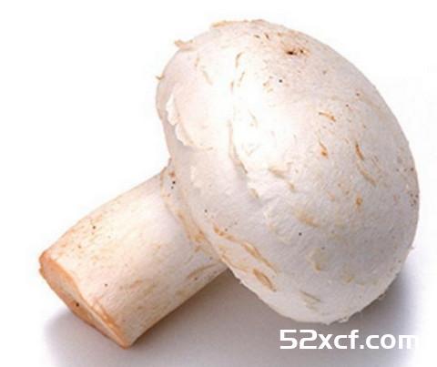 洋菇炒豌豆荚的做法