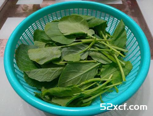 蚝油芥蓝炒牛肉的做法