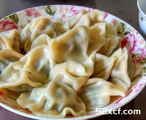 茴香猪肉饺子的做法