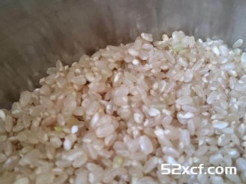 金色穗稻咖哩鲑鱼炊饭的做法图解