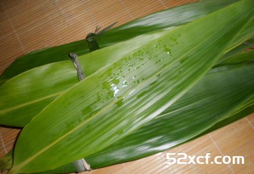 新鲜粽子叶怎么处理三种方法